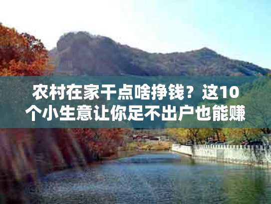 农村在家干点啥挣钱？这10个小生意让你足不出户也能赚大钱！