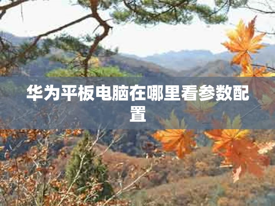 华为平板电脑在哪里看参数配置