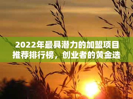 2022年最具潜力的加盟项目推荐排行榜，创业者的黄金选择