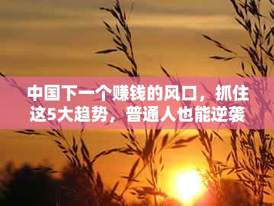 中国下一个赚钱的风口，抓住这5大趋势，普通人也能逆袭！