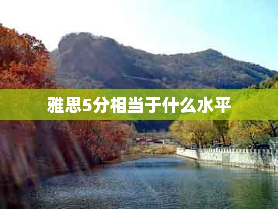 雅思5分相当于什么水平