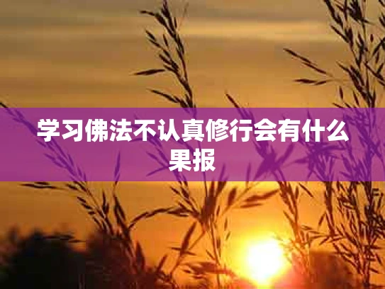 学习佛法不认真修行会有什么果报
