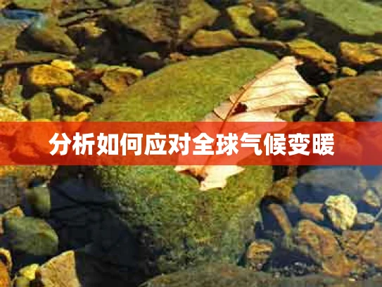 分析如何应对全球气候变暖