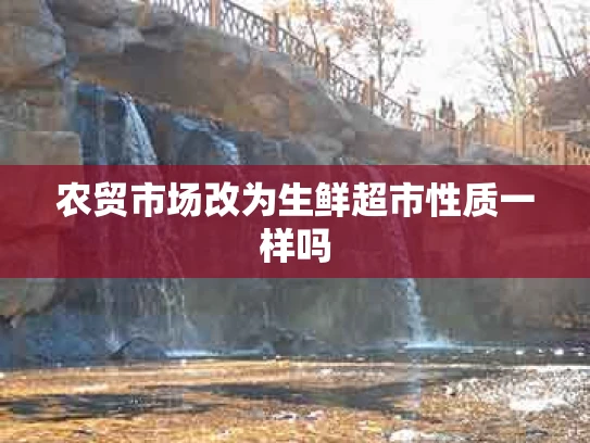 农贸市场改为生鲜超市性质一样吗