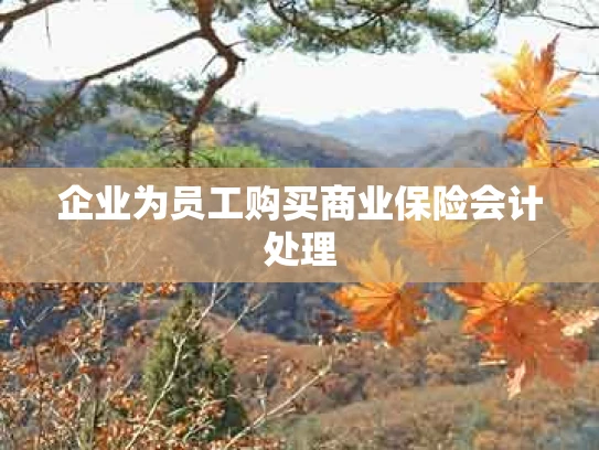 企业为员工购买商业保险会计处理