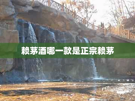 赖茅酒哪一款是正宗赖茅