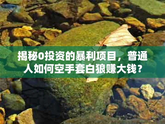 揭秘0投资的暴利项目，普通人如何空手套白狼赚大钱？