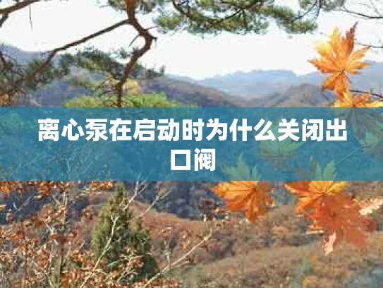 离心泵在启动时为什么关闭出口阀