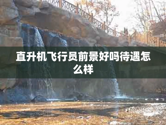 直升机飞行员前景好吗待遇怎么样