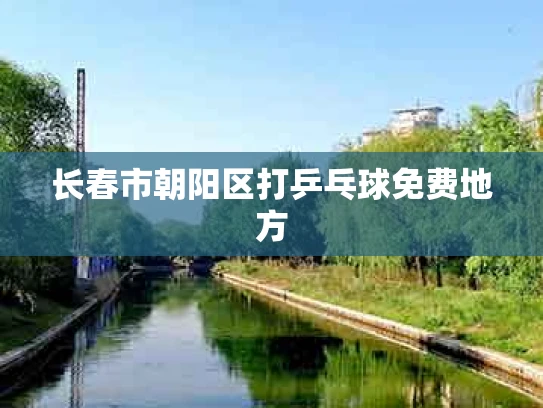 长春市朝阳区打乒乓球免费地方
