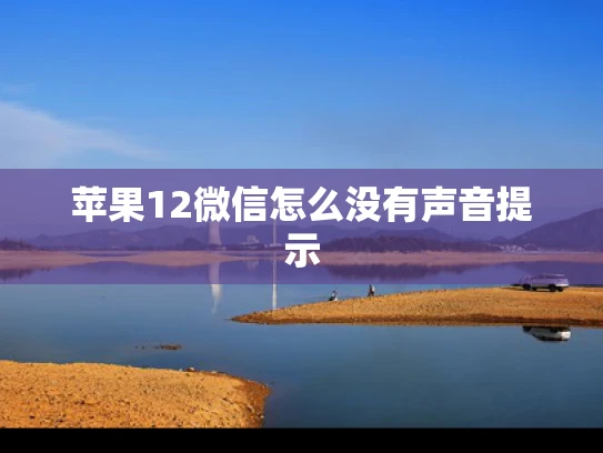 苹果12微信怎么没有声音提示