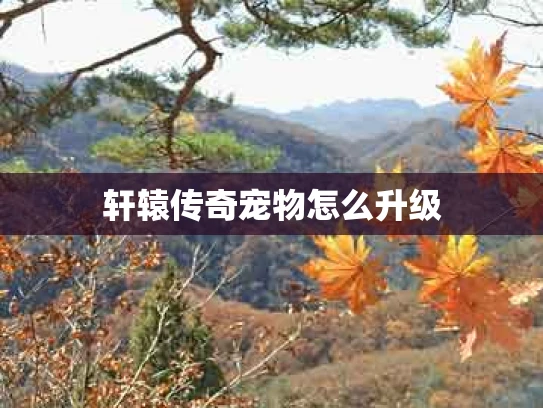 轩辕传奇宠物怎么升级