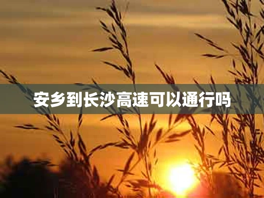 安乡到长沙高速可以通行吗