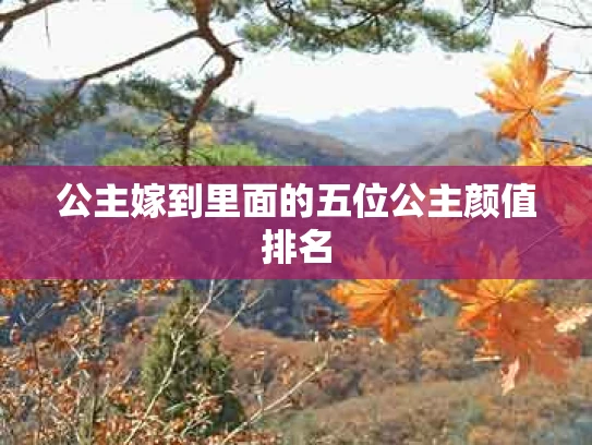 公主嫁到里面的五位公主颜值排名
