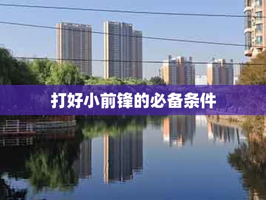 打好小前锋的必备条件