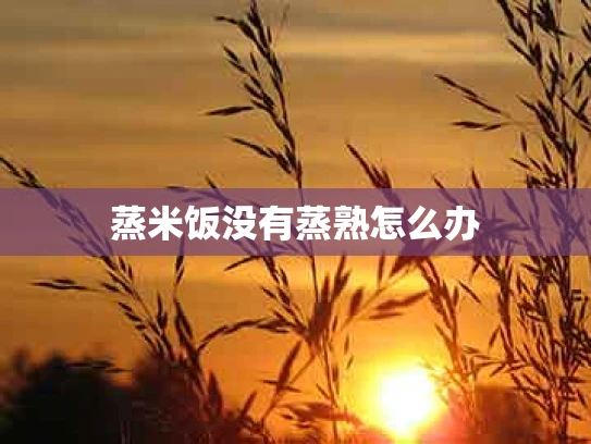 蒸米饭没有蒸熟怎么办