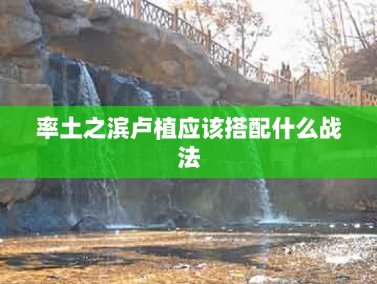 率土之滨卢植应该搭配什么战法