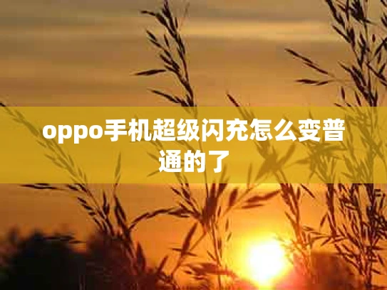 oppo手机超级闪充怎么变普通的了