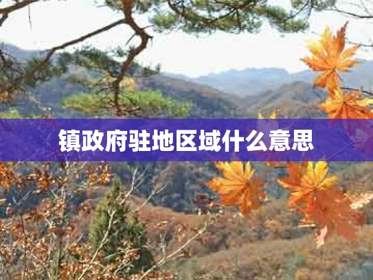 镇政府驻地区域什么意思