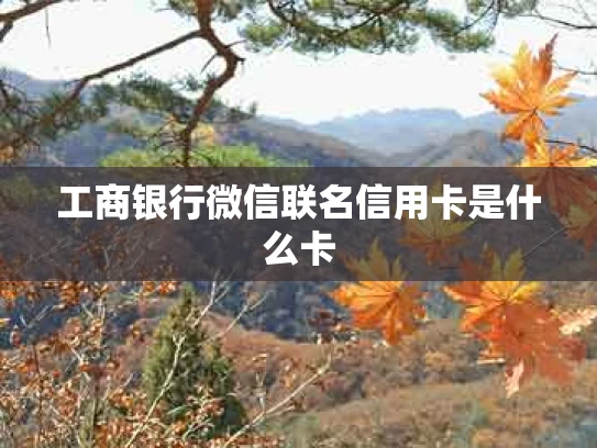 工商银行微信联名信用卡是什么卡