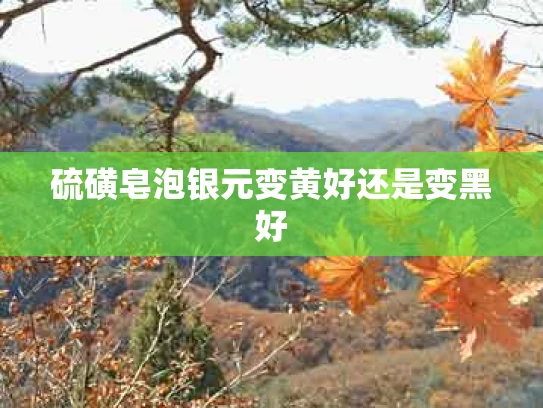 硫磺皂泡银元变黄好还是变黑好