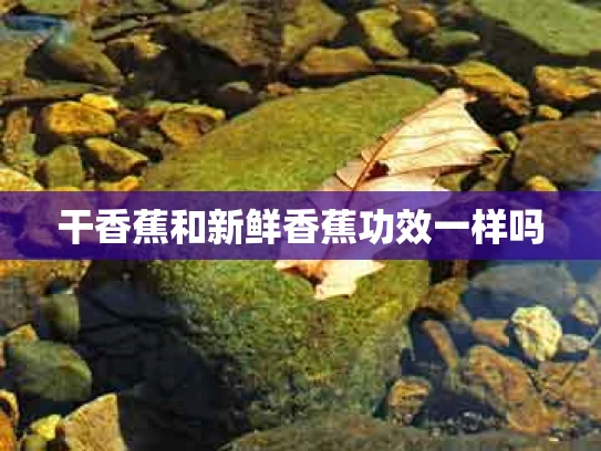 干香蕉和新鲜香蕉功效一样吗
