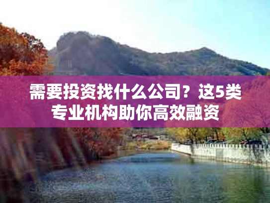 需要投资找什么公司？这5类专业机构助你高效融资