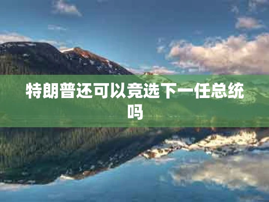 特朗普还可以竞选下一任总统吗