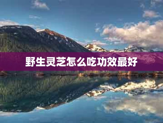 野生灵芝怎么吃功效最好