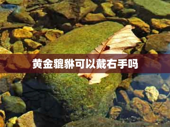 黄金貔貅可以戴右手吗