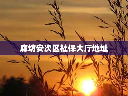 廊坊安次区社保大厅地址
