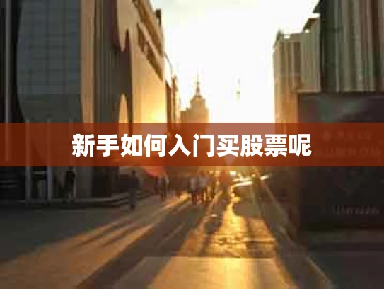 新手如何入门买股票呢