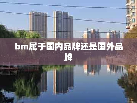 bm属于国内品牌还是国外品牌