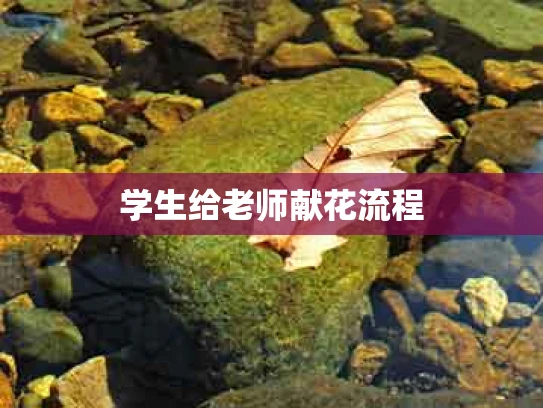 学生给老师献花流程