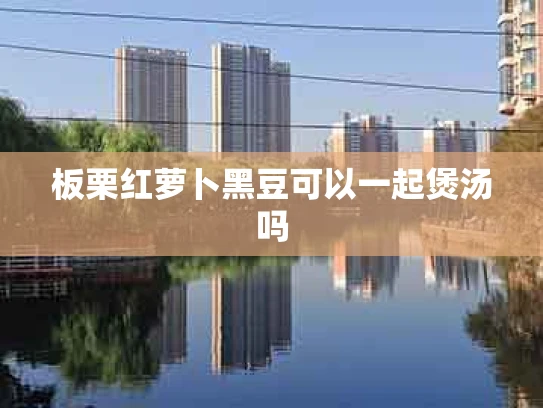 板栗红萝卜黑豆可以一起煲汤吗