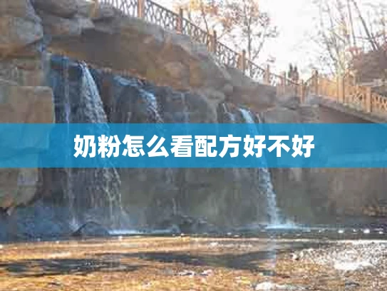奶粉怎么看配方好不好