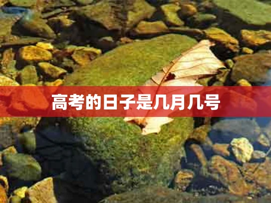 高考的日子是几月几号