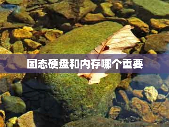 固态硬盘和内存哪个重要