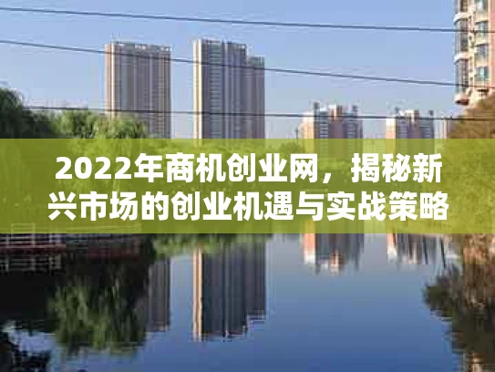2022年商机创业网，揭秘新兴市场的创业机遇与实战策略