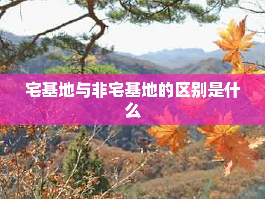 宅基地与非宅基地的区别是什么