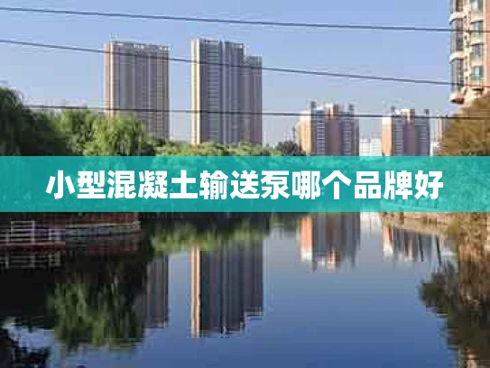 小型混凝土输送泵哪个品牌好