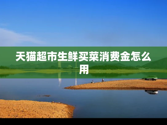 天猫超市生鲜买菜消费金怎么用