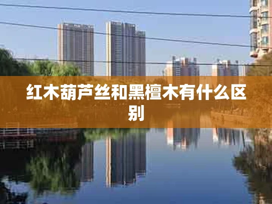 红木葫芦丝和黑檀木有什么区别