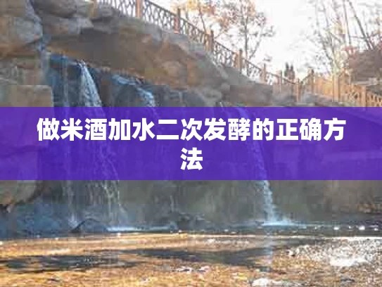 做米酒加水二次发酵的正确方法