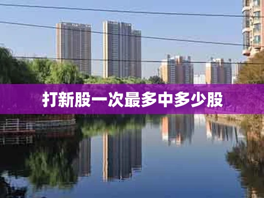 打新股一次最多中多少股