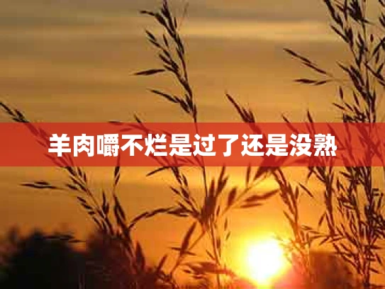 羊肉嚼不烂是过了还是没熟