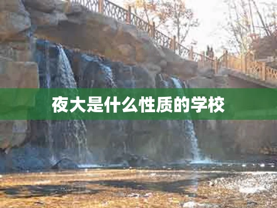 夜大是什么性质的学校