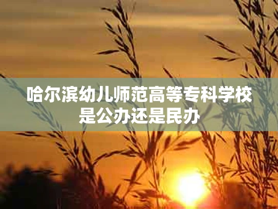 哈尔滨幼儿师范高等专科学校是公办还是民办