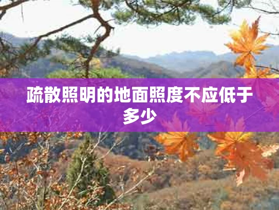 疏散照明的地面照度不应低于多少
