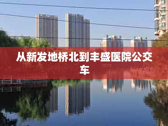 从新发地桥北到丰盛医院公交车